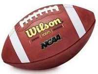 Wilson hot 1005 FIU Leather Football