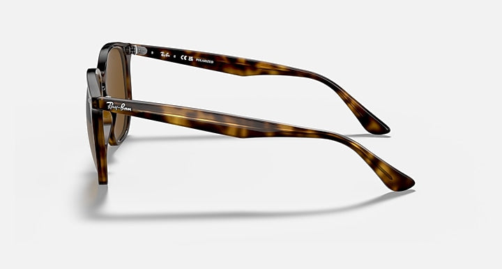 Ray-Ban RB4306 Polarized