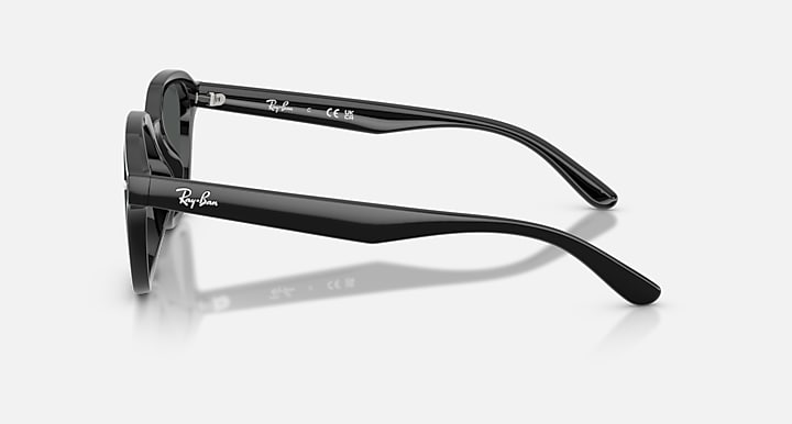 Ray-Ban RB4458D Polarized