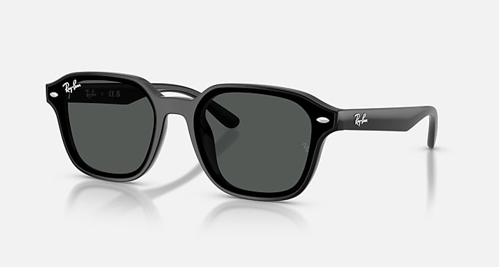 Ray-Ban RB4458D Polarized
