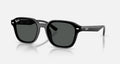 Ray-Ban RB4458D Polarized