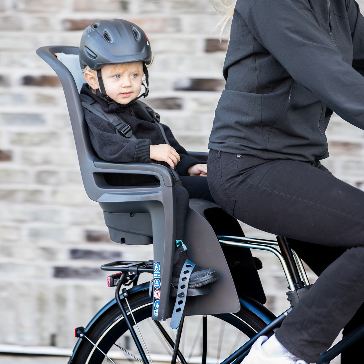 Thule RideAlong 2 Child Bike Seat