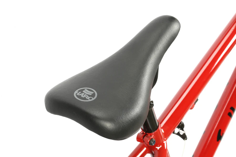 Leucadia DLX BMX Bike