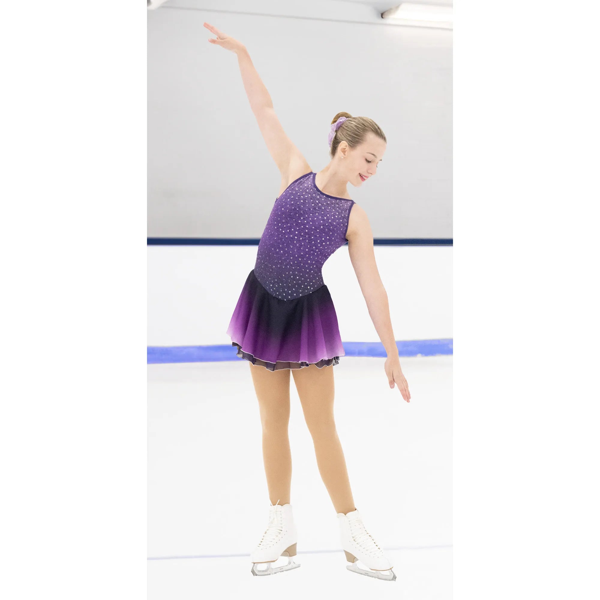 Jerrys Skating World Amethyst Ombre Dress
