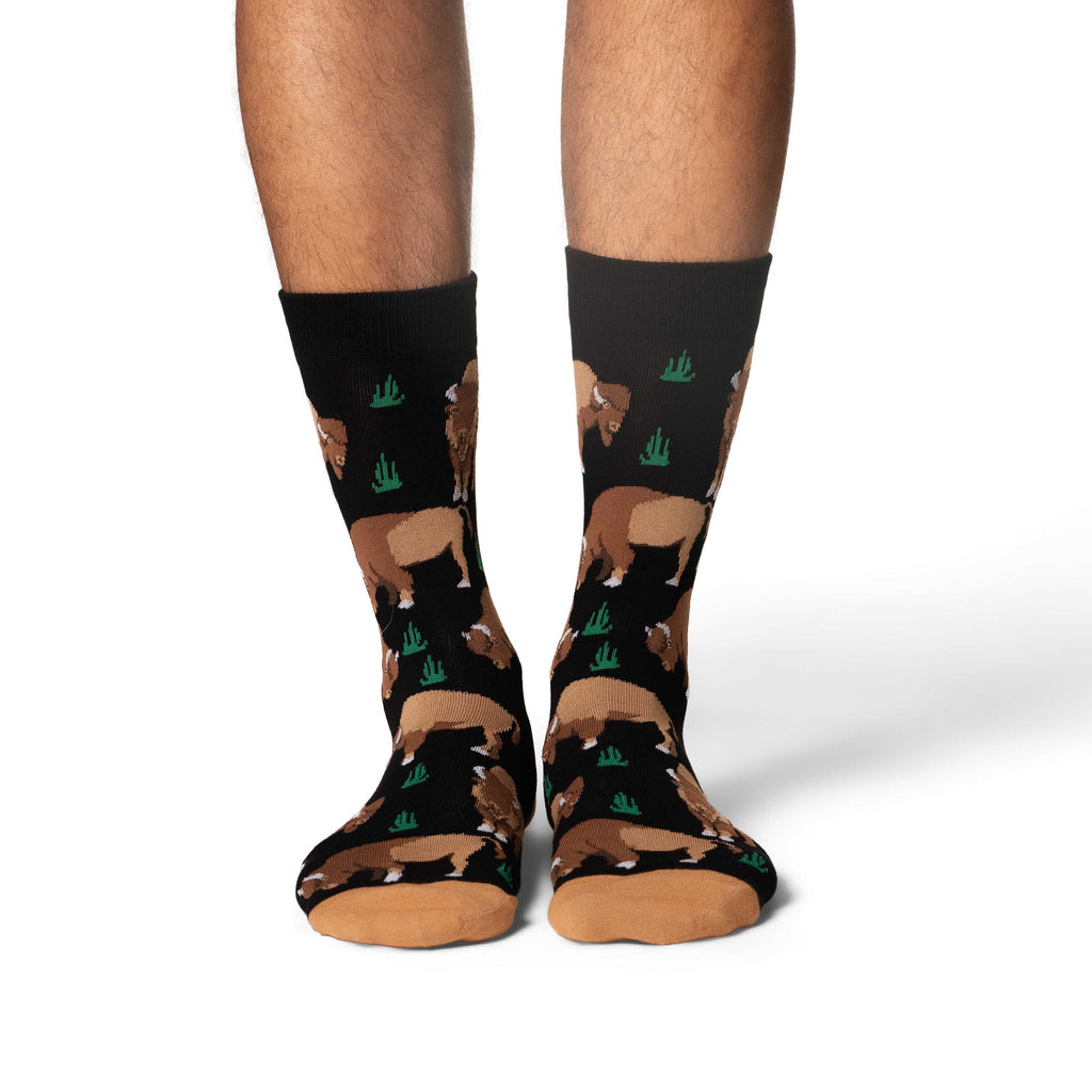 Good Luck Sock Men's Bison Socks