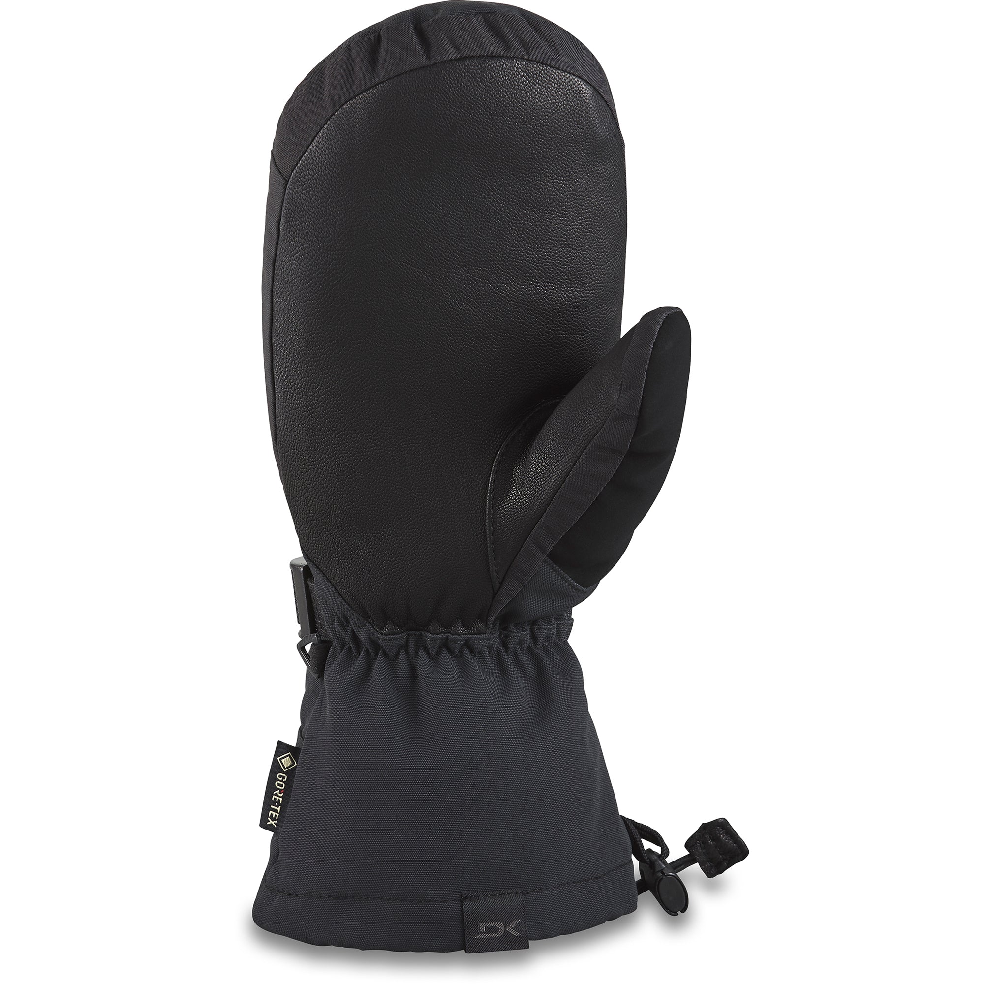 Dakine Men's Leather Titan Gore-Tex Mitts