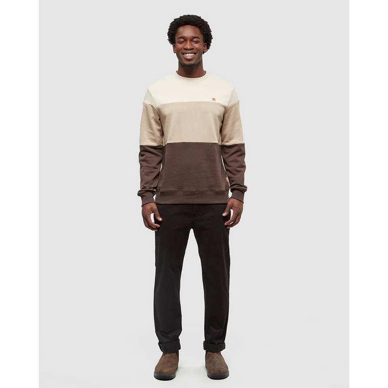 Tentree Men's Blocked Reynard Crew