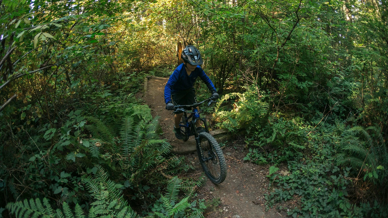 Fluid fs 2 24 hotsell