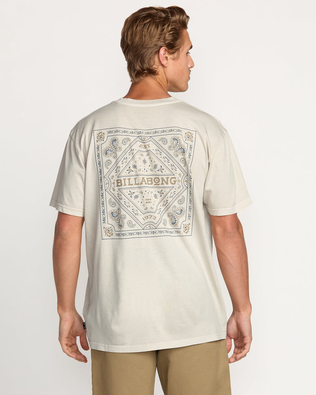 Billabong Paise Haze Premium Wave Wash Pocket T-Shirt - Chino - Back