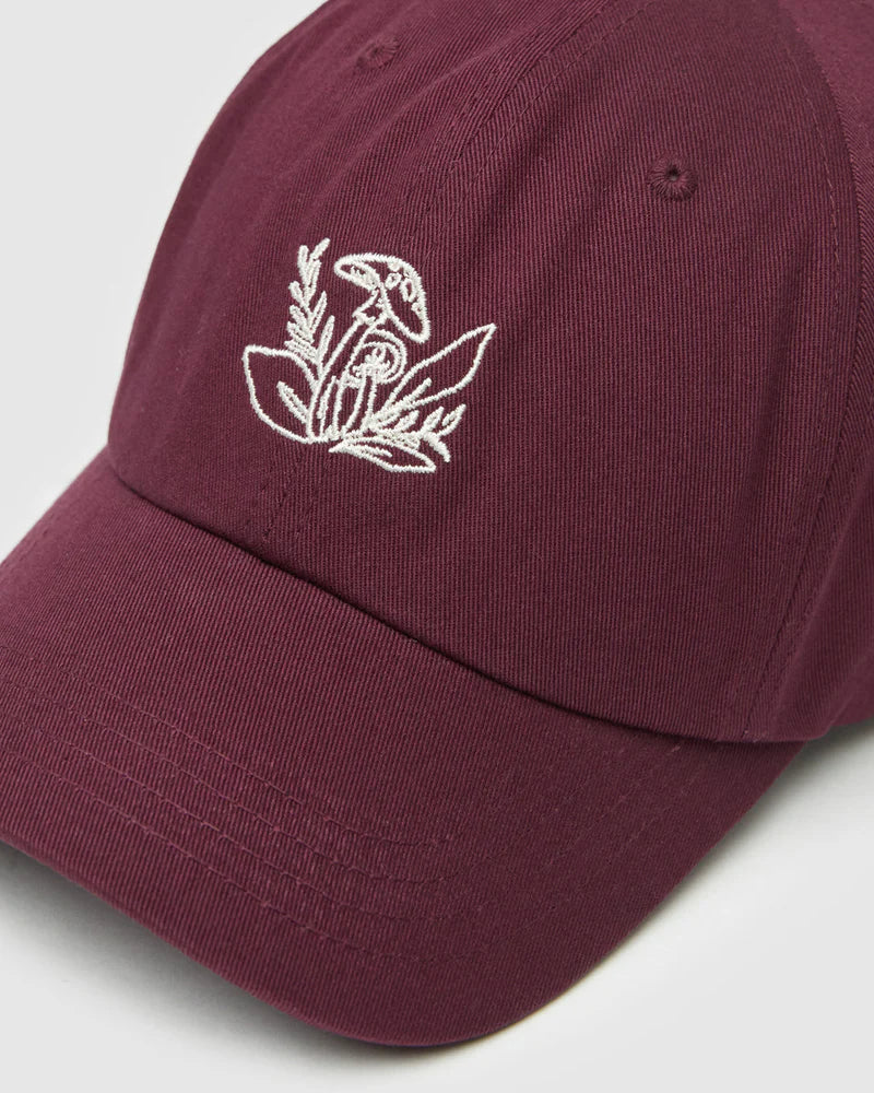 Tentree Understory Peak Hat