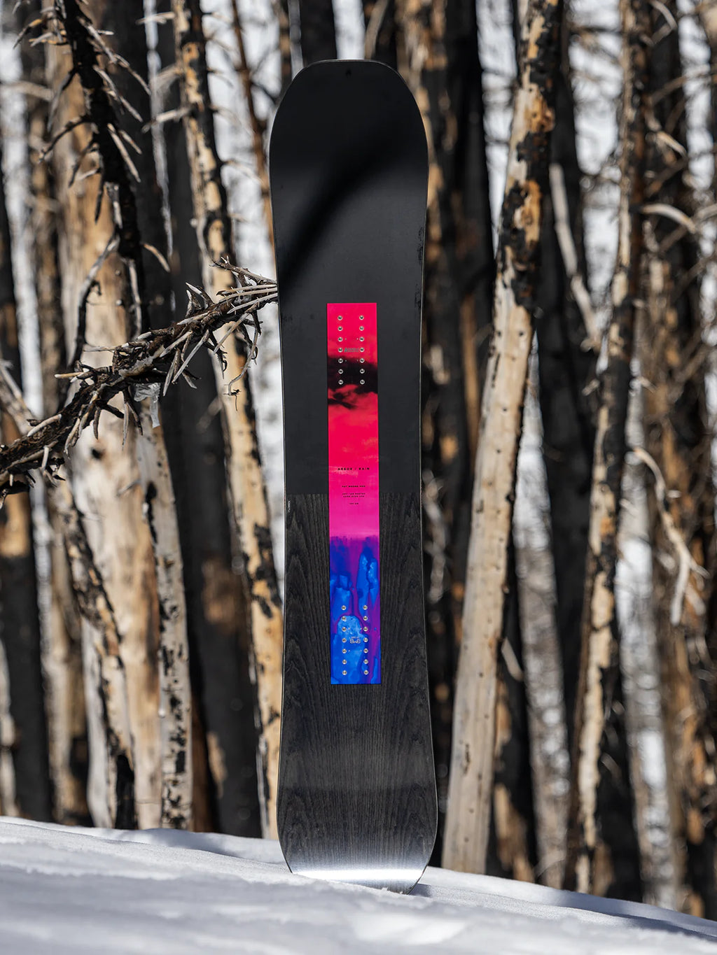Arbor Rain Snowboard - 2025