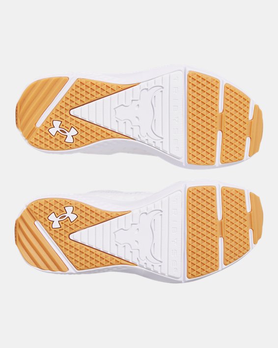 Under Armour Men's Project Rock BSR 5 Training Shoes