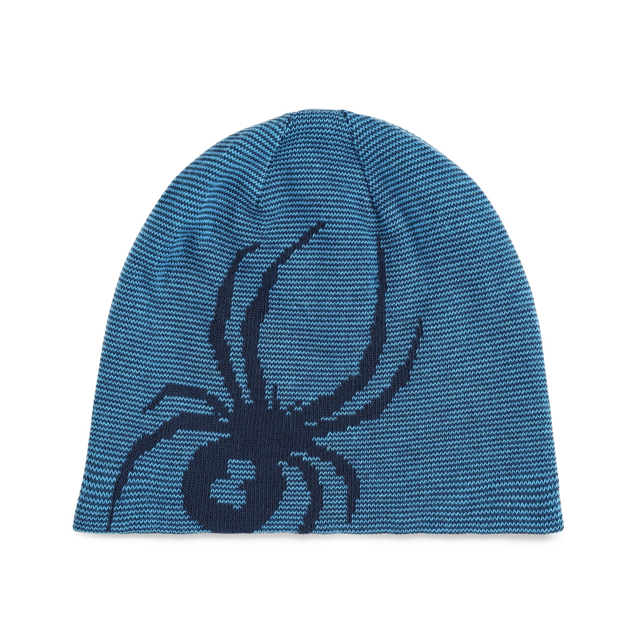 Spyder Boys' Reversible Bug Beanie - Aether Blue - front
