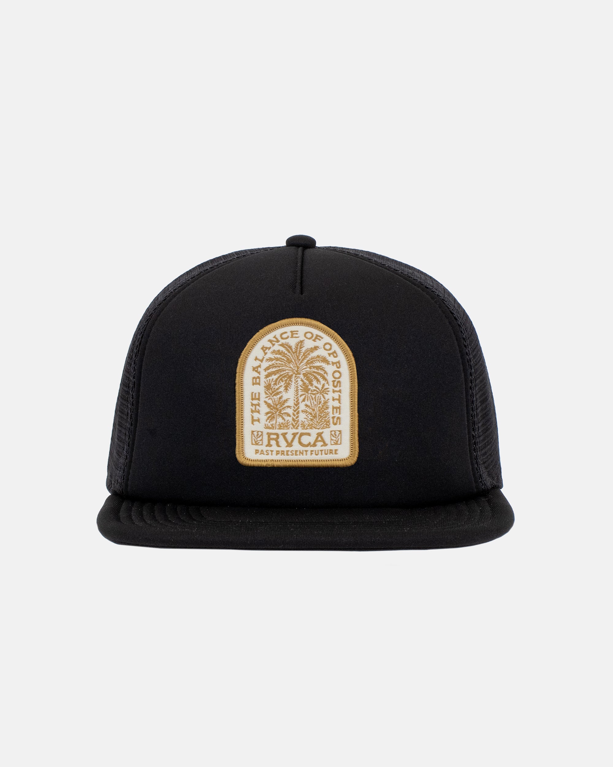 RVCA Valley Palm Cap - Black