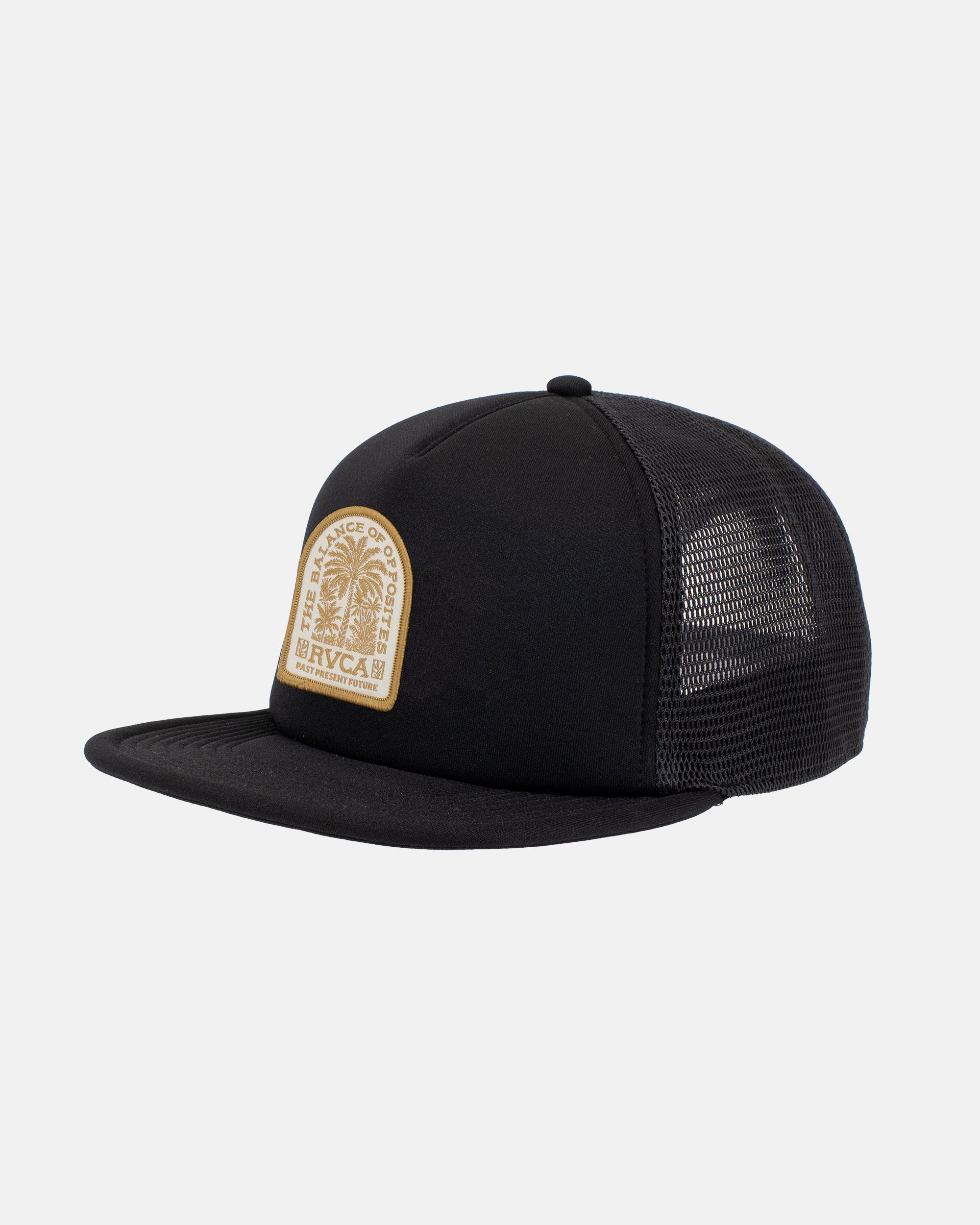 RVCA Valley Palm Cap - Black