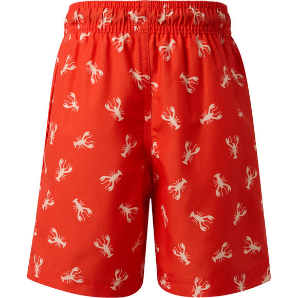 Ripzone Boy's Terrance Boardshorts