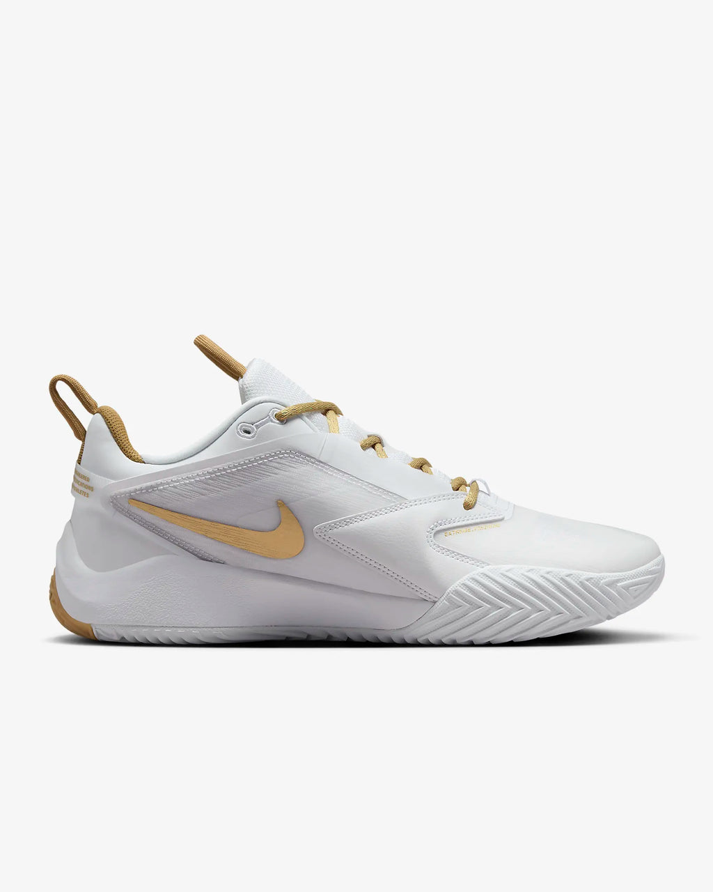 Nike Men's HyperAce 3 Volleyball Shoes