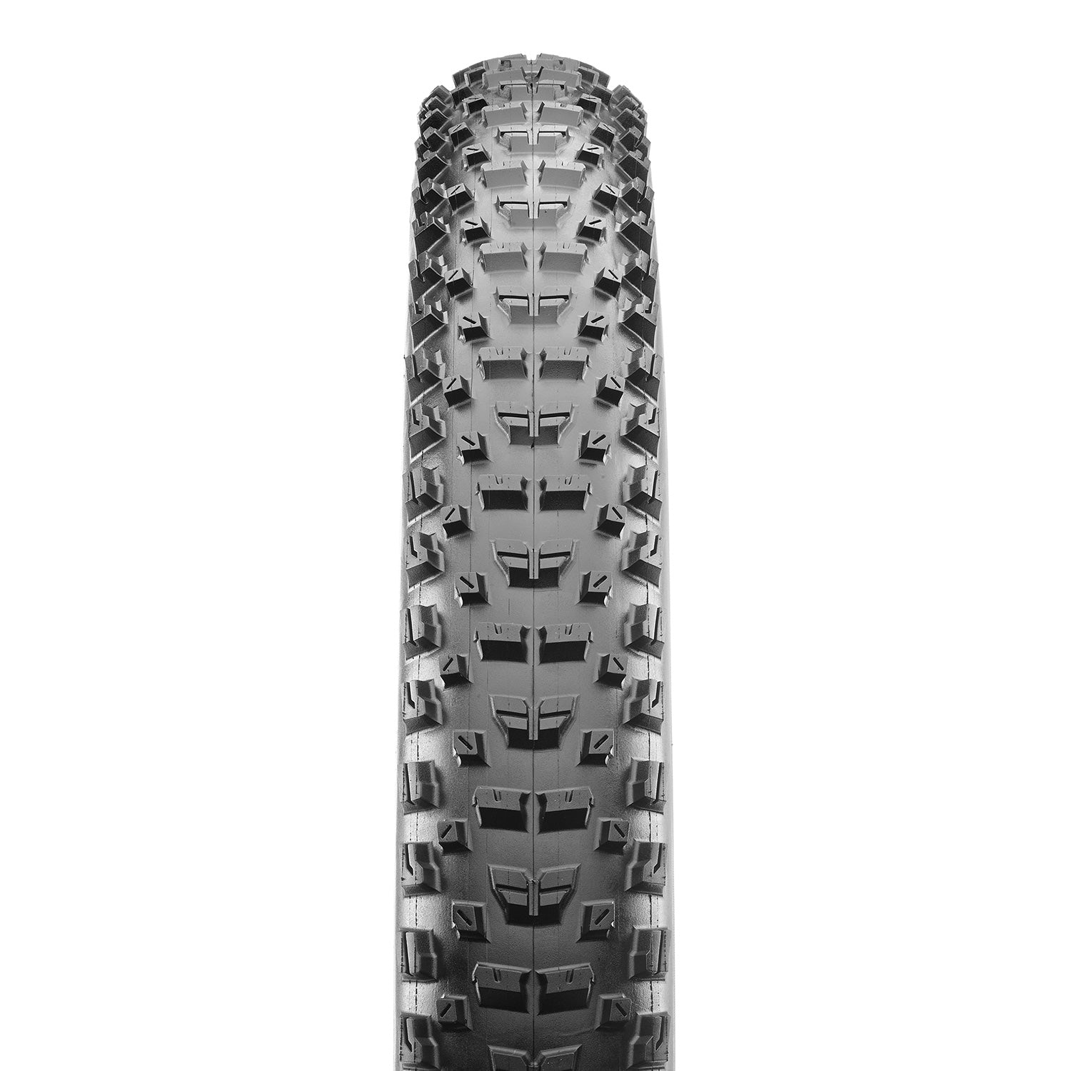 Maxxis Rekon 3C Maxx Terra, 60TPI Tire - 29x2.4