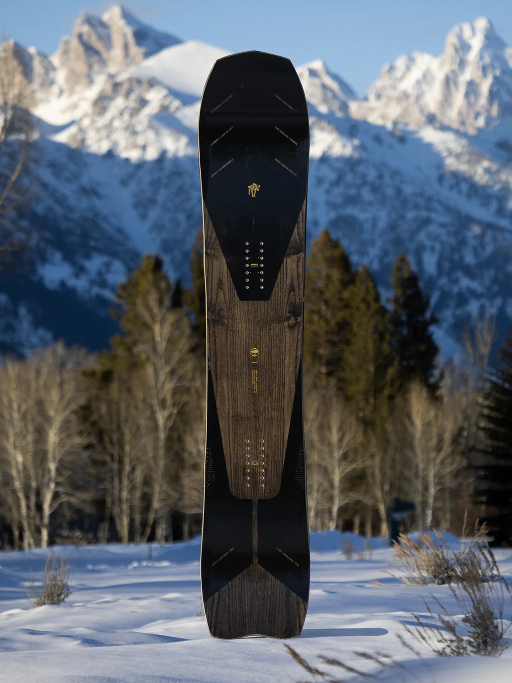 Arbor Bryan Iguchi Pro Snowboard - 2025