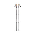 Black Diamond Trail Vista Shock Trekking Poles