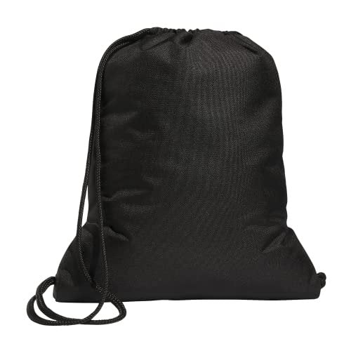 Alliance II Sackpack