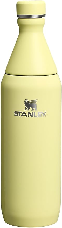 Stanley All Day Slim Bottle 20oz