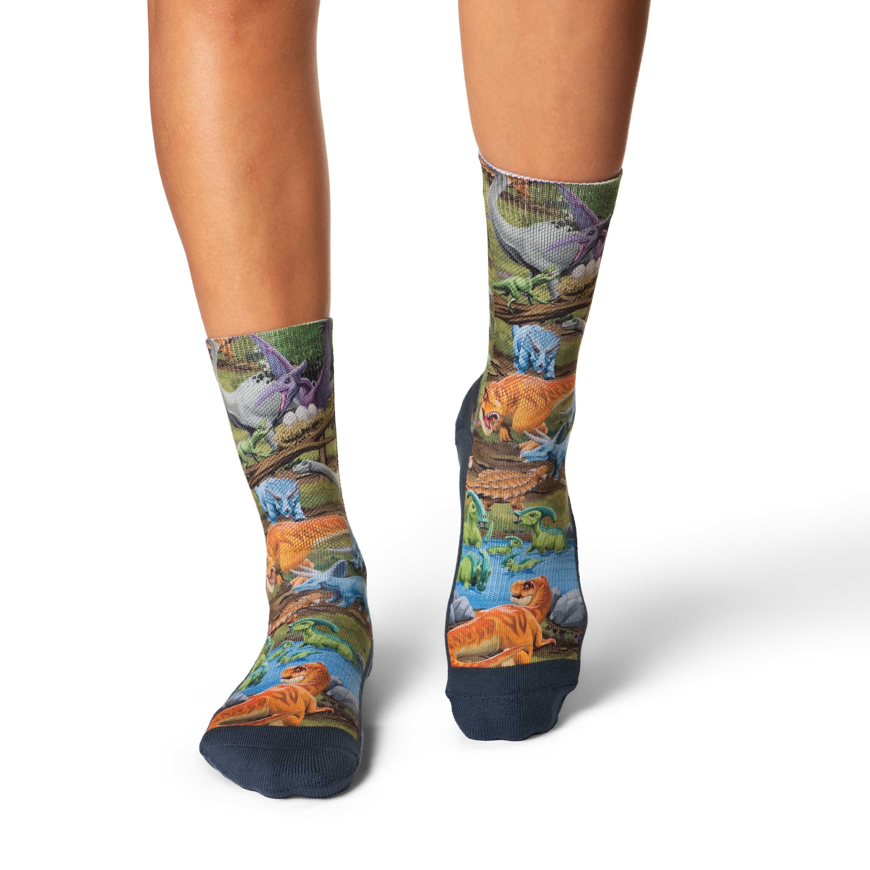 Good Luck Sock Women's Dinosaur World Socks