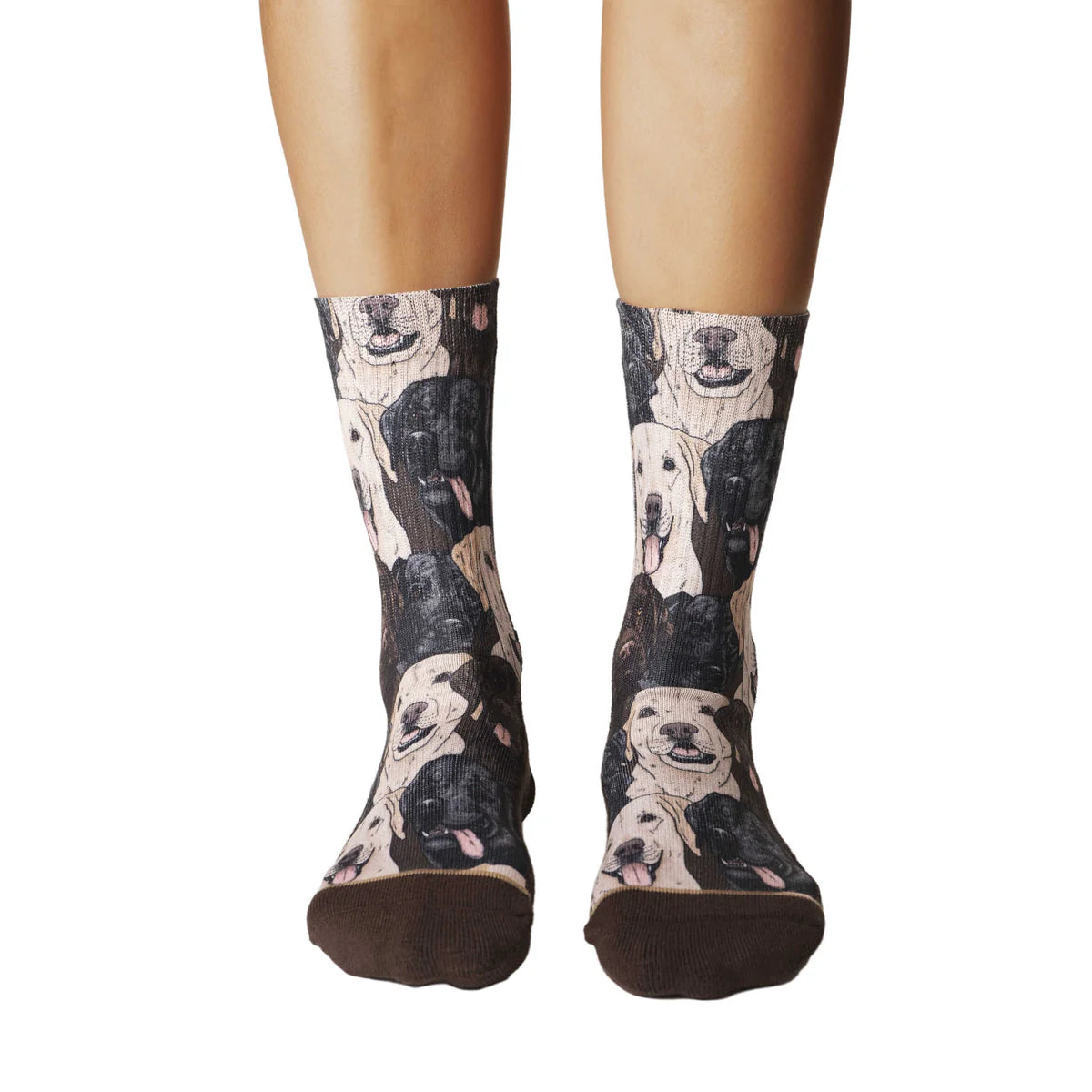 Good Luck Sock Women's Labrador Retrievers Socks