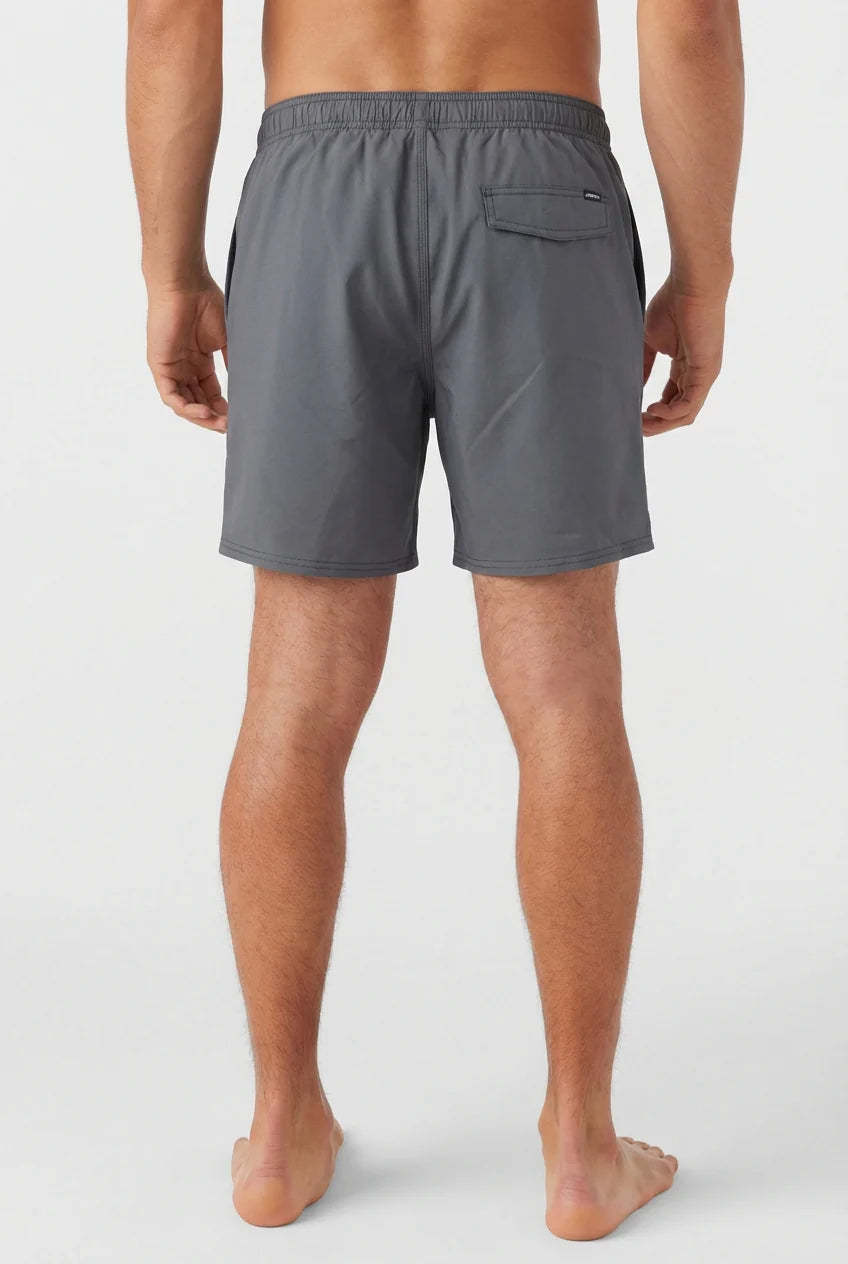 O'Neill Men's Solid Volley 2.0 Volleys
