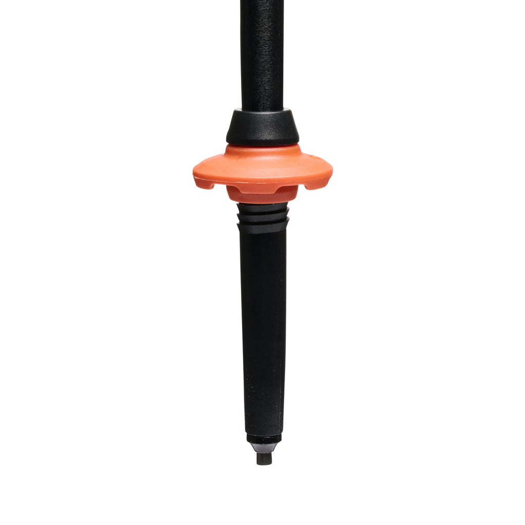 Black Diamond Adult Trail Cork Trekking Poles