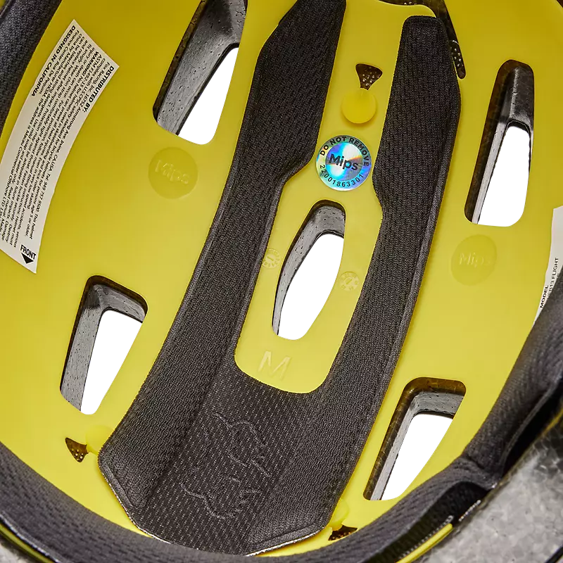 Flight Helmet
