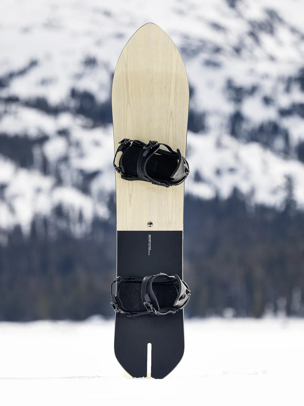 Arbor Terrapin PFD Snowboard - 2025