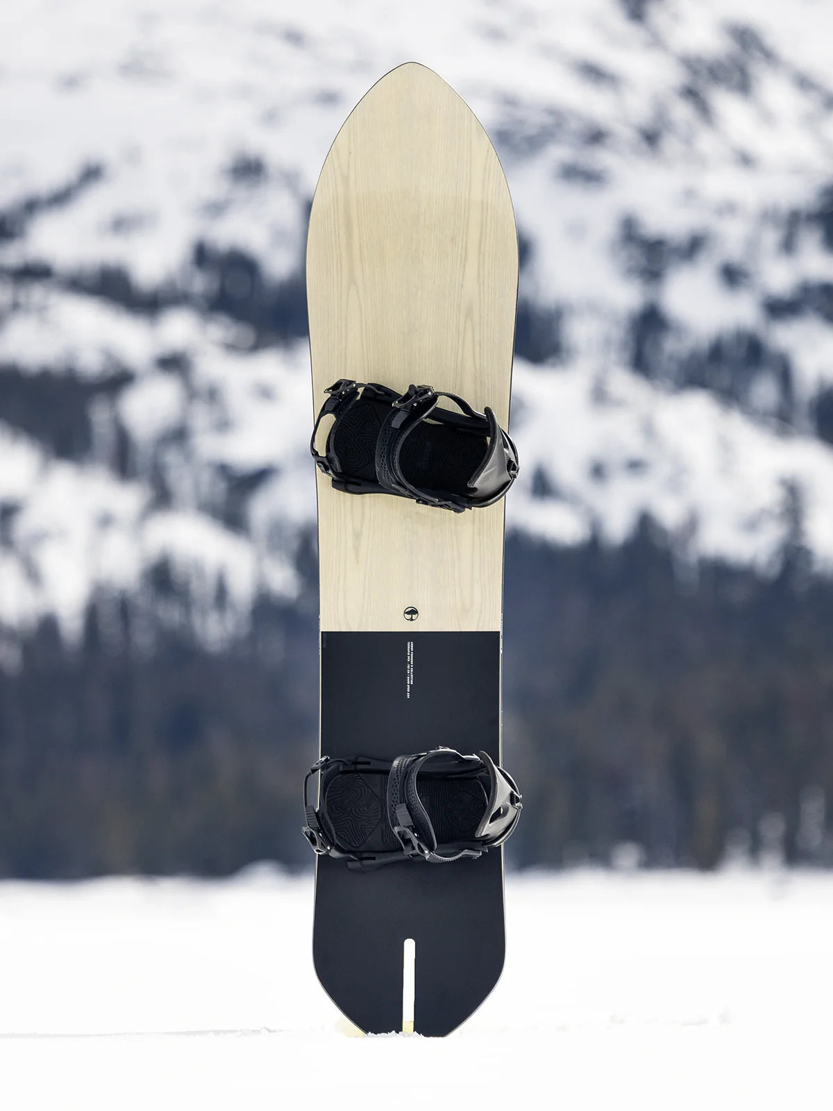 Arbor Terrapin PFD Snowboard - 2025