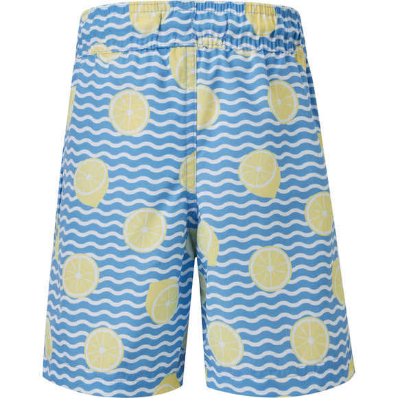 Ripzone Boy's Terrance Boardshorts