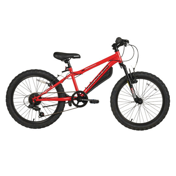 Junior Protégé 20" Mountain Bike