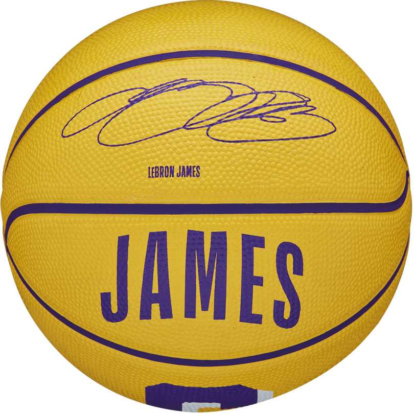 NBA Player Icon Mini Basketball