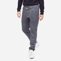 Tentree Men's Atlas Sweatpants