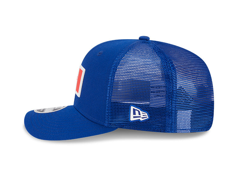 Toronto Blue Jays Flag 9SEVENTY Stretch-Snap Hat