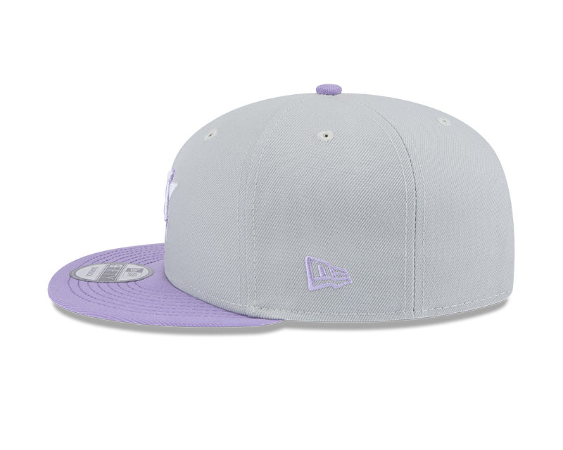Houston Astros Grey/Purple 2-Tone 9FIFTY Snapback Hat