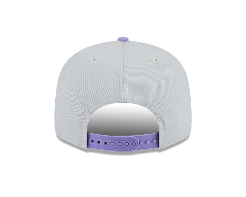 Houston Astros Grey/Purple 2-Tone 9FIFTY Snapback Hat