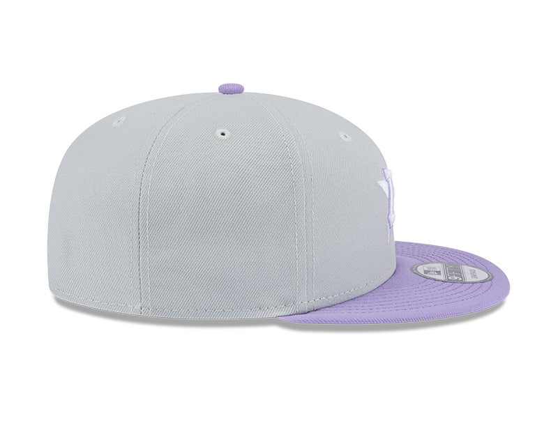 Houston Astros Grey/Purple 2-Tone 9FIFTY Snapback Hat