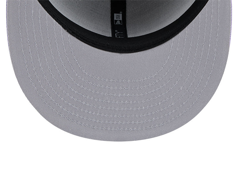 Houston Astros Grey/Purple 2-Tone 9FIFTY Snapback Hat