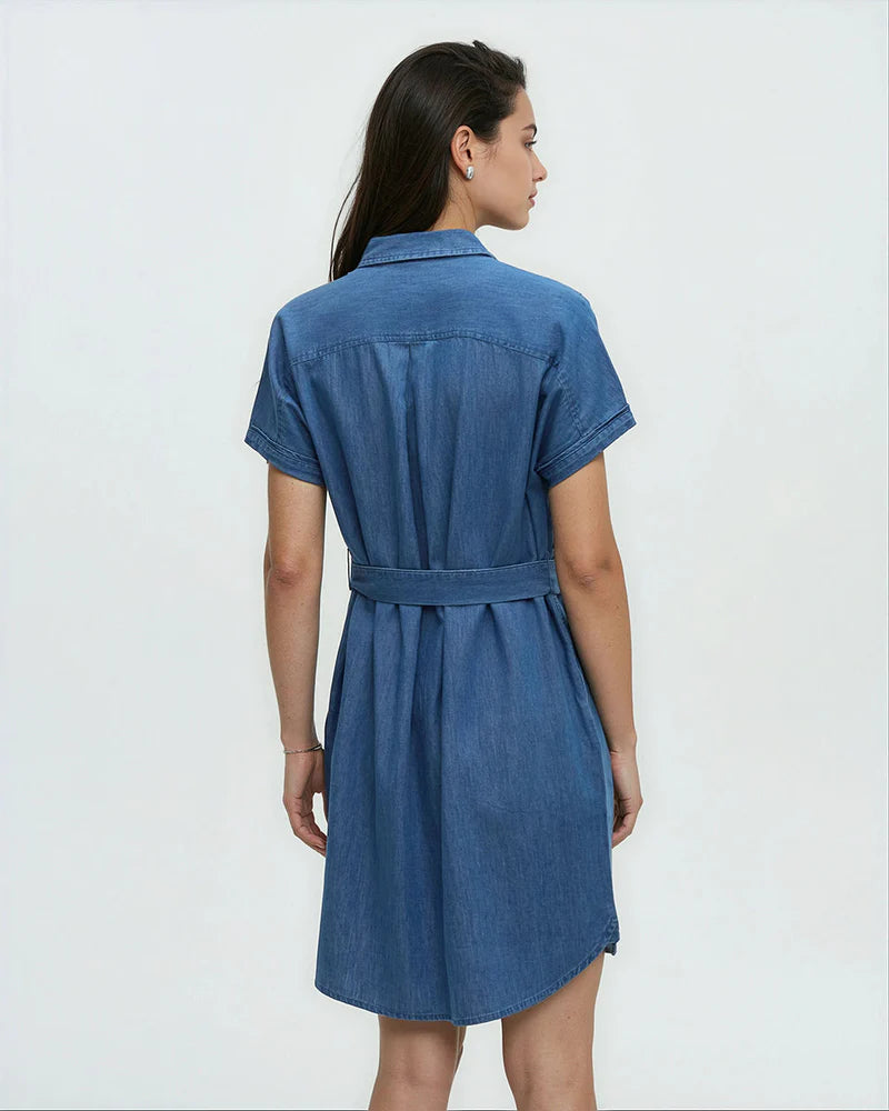 Tentree Women's Tern Dress