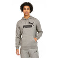 PUMA Essentials Big Logo Pullover Hoodie - Grey - front