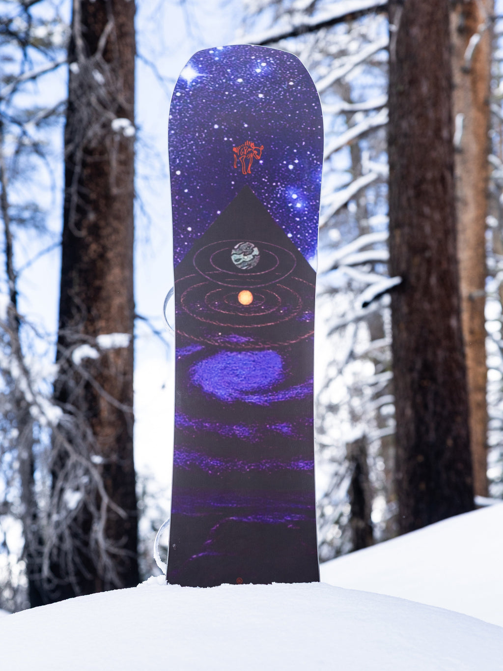 Arbor Astrowaste Snowboard - 2027, view 6