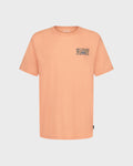 Billabong Toddler Boys' Heritage Arch Short Sleeve Tee, Faded Orange, front