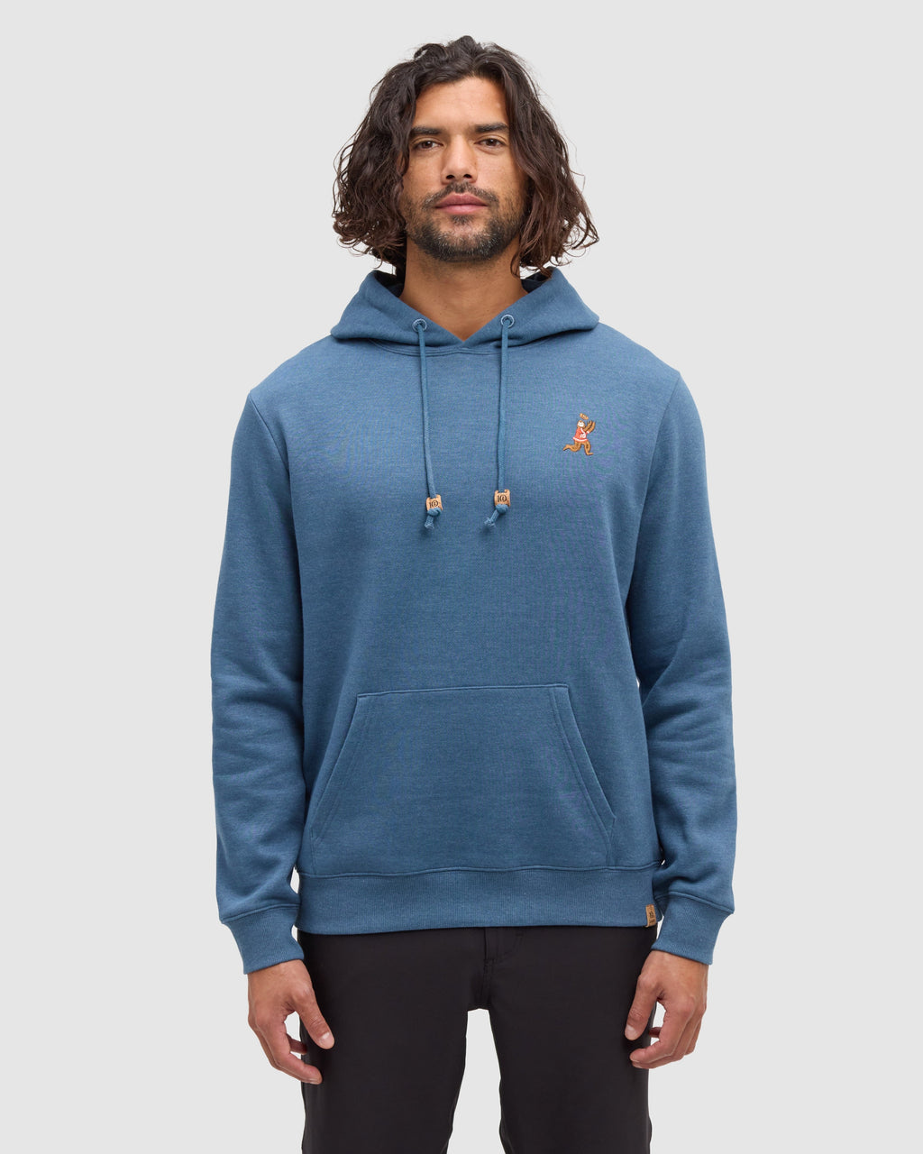 Tentree Sasquatch Hoodie Blue Horizon Heather Football - front on model