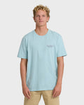 Billabong Tailgating Premium Men's Short Sleeve T-Shirt
