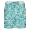 Quiksilver Surfsilk Mix Boys' Volley Shorts