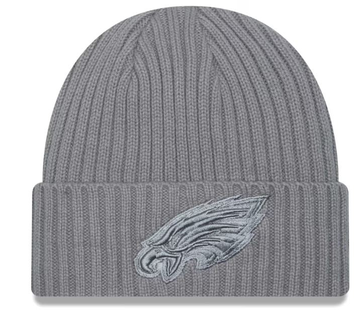 NFL Knit Colour Pack Grey Toque